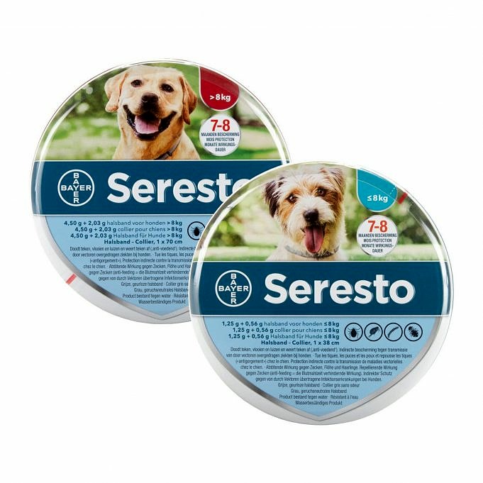 Waarom Werkt De Seresto-halsband Van Uw Hond Niet?